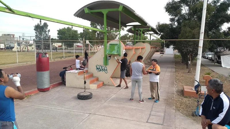 ACADEMIA DE BOXEO "CEDROS"