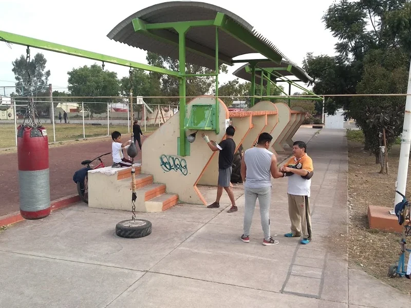 ACADEMIA DE BOXEO "CEDROS"