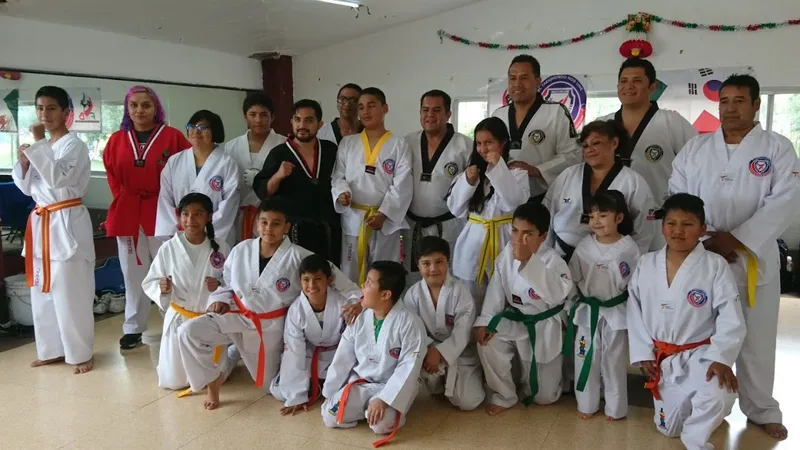 Academia Tkd búhos y Kickboxing