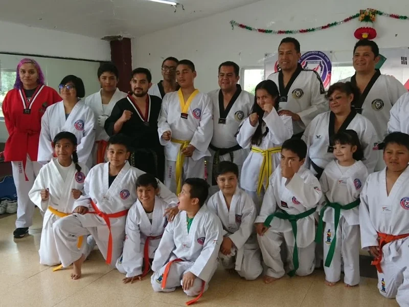 Academia Tkd búhos y Kickboxing