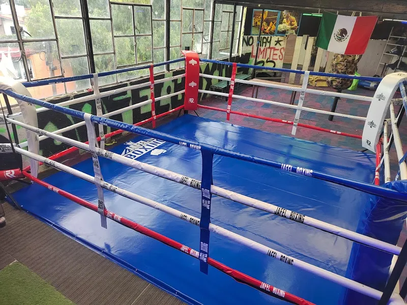 Escuela de box “Jafel boxing”