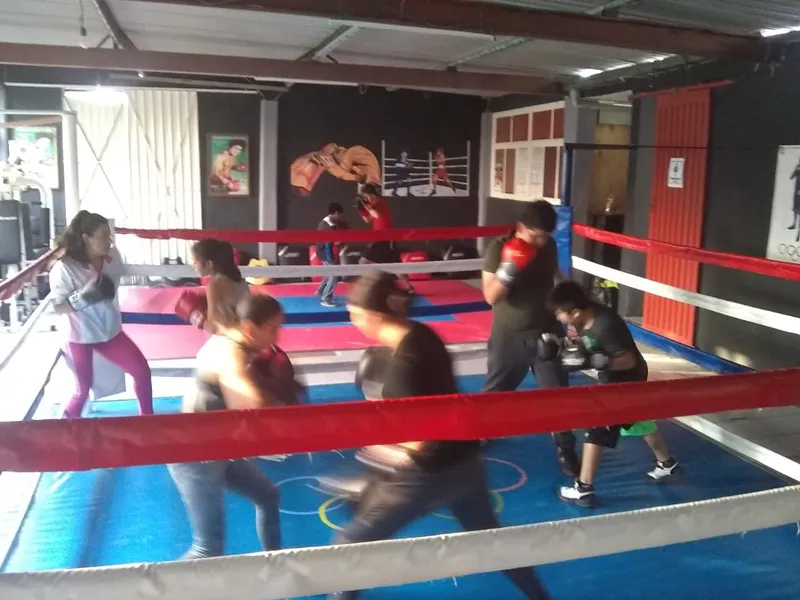 Naranjo Olímpico Boxing