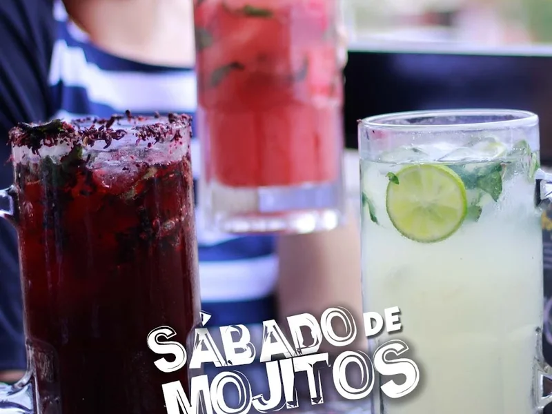 Perros y Burros Americas Oficial