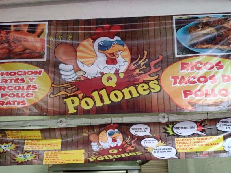 Q' POLLON-ES