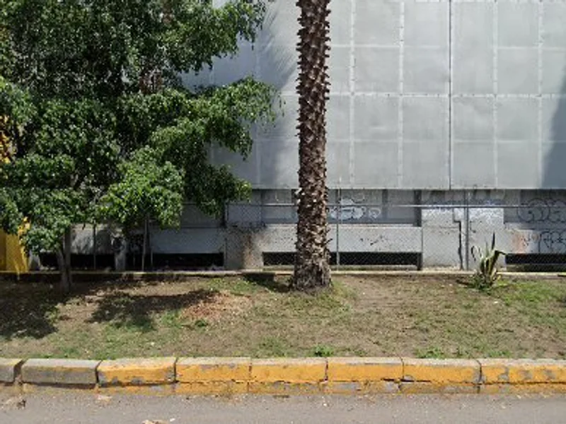 Ensaladas jacu