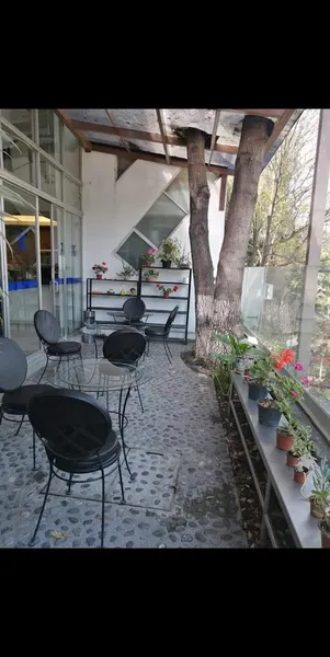 Cafetería "La terraza del investigador"