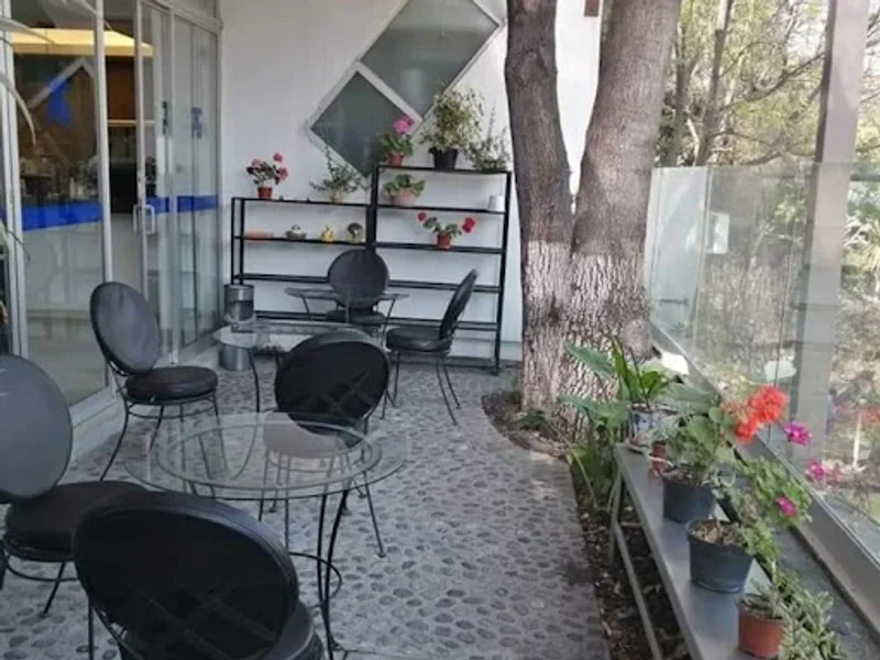 Cafetería "La terraza del investigador"