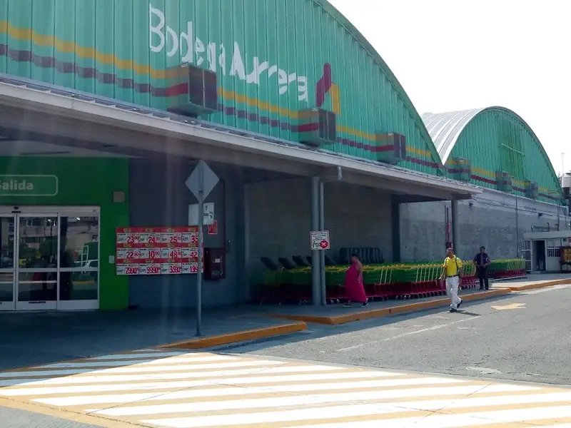 BODEGA AURRERA PALOMAS 3910