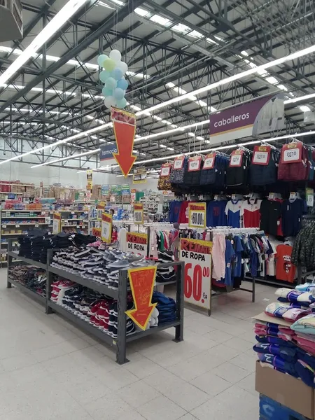 Bodega Aurrerá plaza Ecatepec