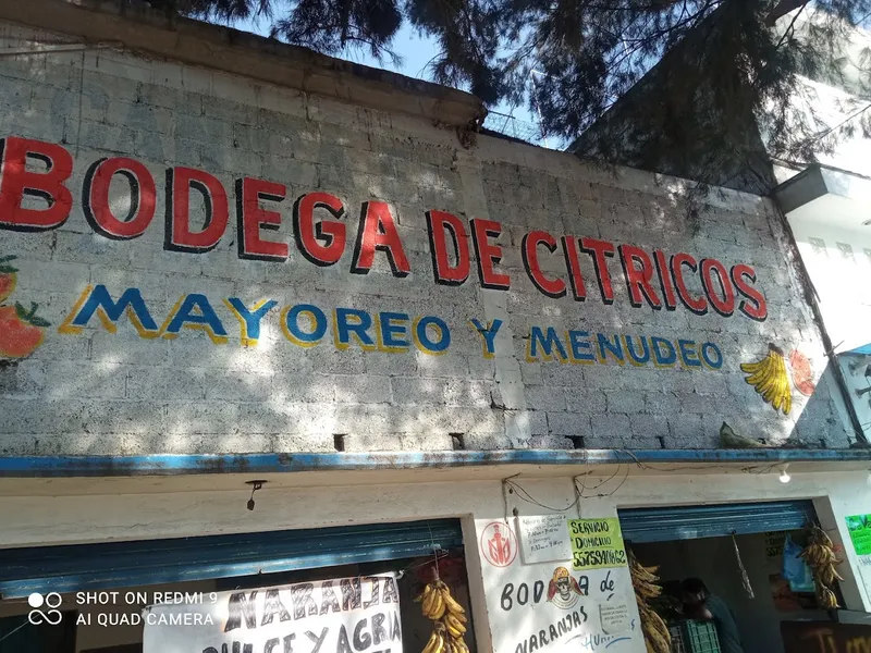 Bodega de cítricos, Mayoreo y Menudeo.