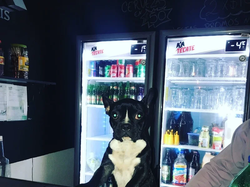 Zona Person Atizapan