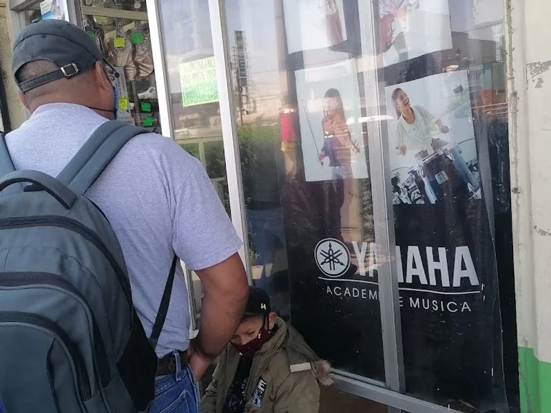 ELECTRO MUSICAL ECATEPEC