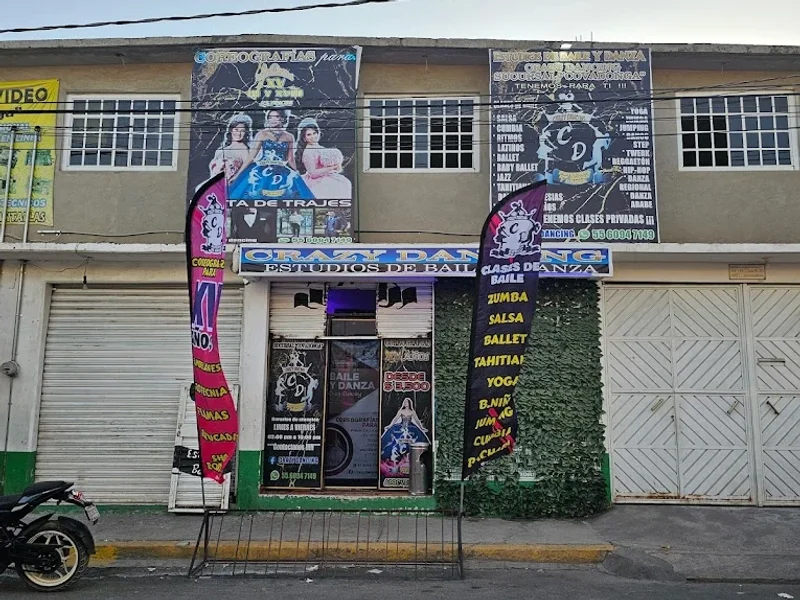 ESTUDIOS DE BAILE Y DANZA CRAZY DANCING