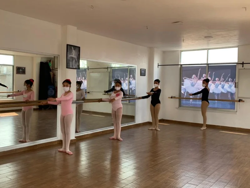 escuela de ballet anna pavlova