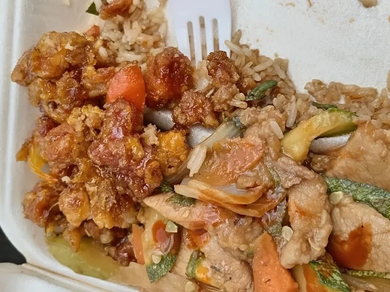 Comida China Xo Yung