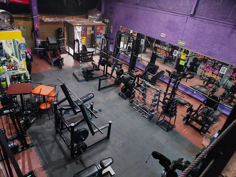 Mamba Gym