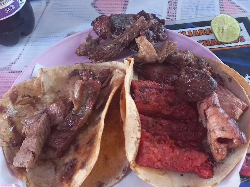 Tacos Al Carbon El Vikingo