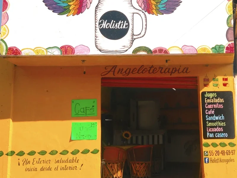 Holistik Naturismo Jugos Ensaladas