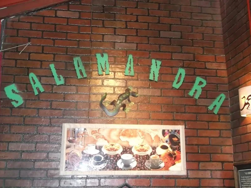 Salamandra Cafe & Club