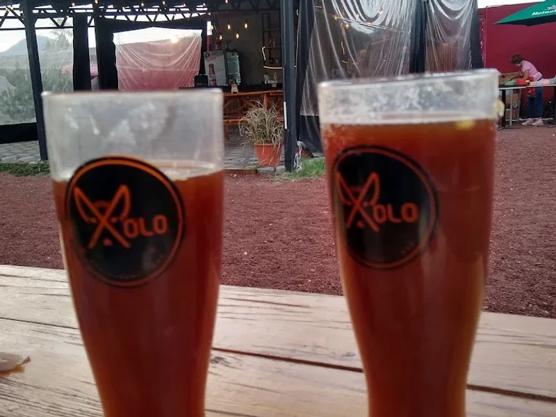 Xolo Bar