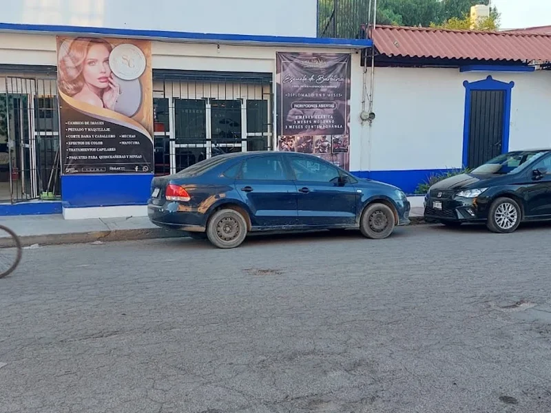 The Shark Barber School