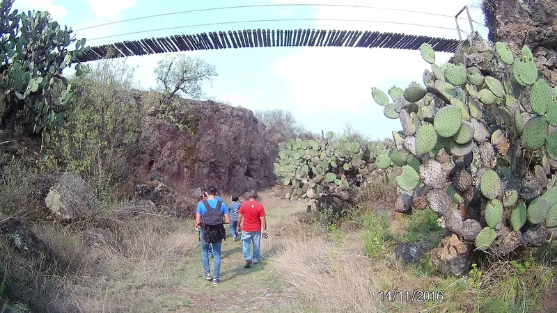 ALDEA TEOTIHUACAN - Jardin de las Cactaceas - Historias, Leyendas, Glamping, Meditacion, Fauna, Cuatrimotos, Gotcha,Tirolesa.