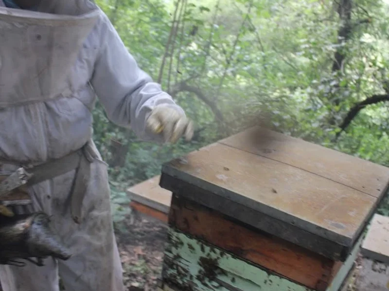 El Jardín De Las Abejas