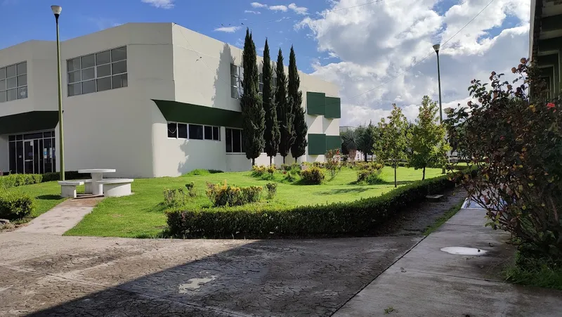 Centro Universitario UAEM Amecameca