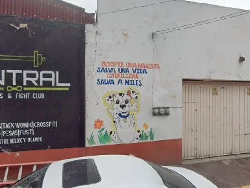 Físico y Fitness Amecameca