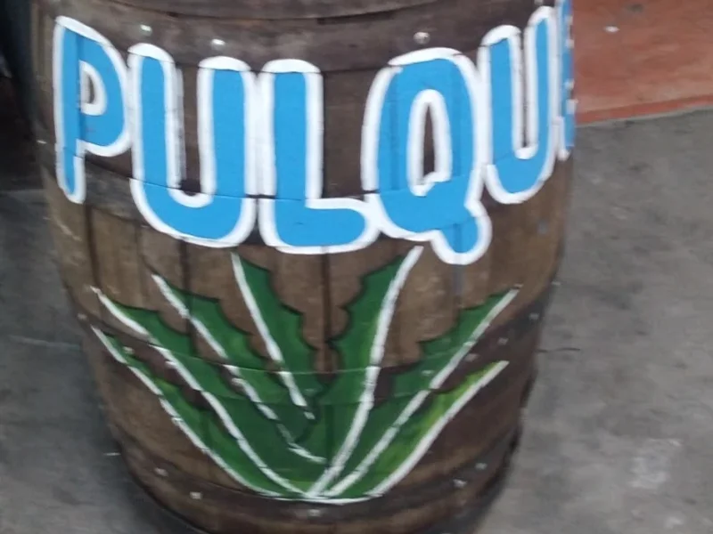 Pollos A La Leña El Triunfo