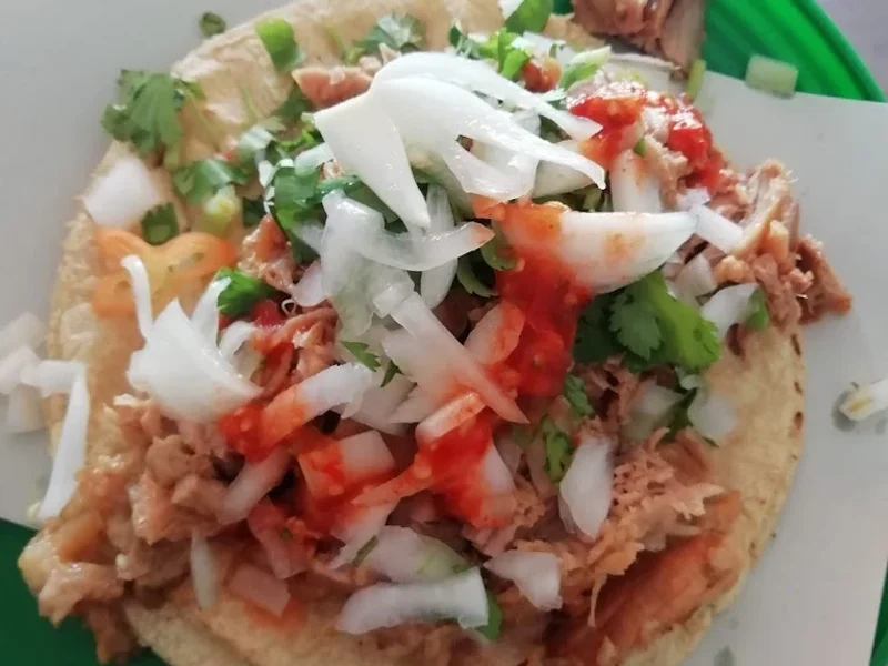 Carnitas "EL VALE "