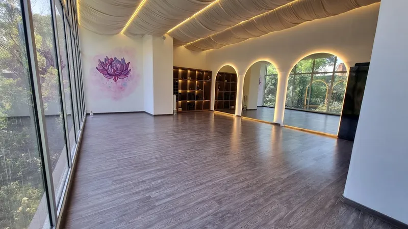 TAU studio - Yoga & Aerial Dance