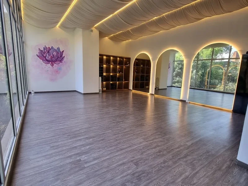 TAU studio - Yoga & Aerial Dance