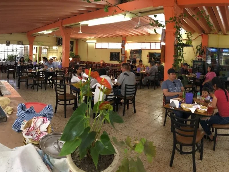El Zapote Jr