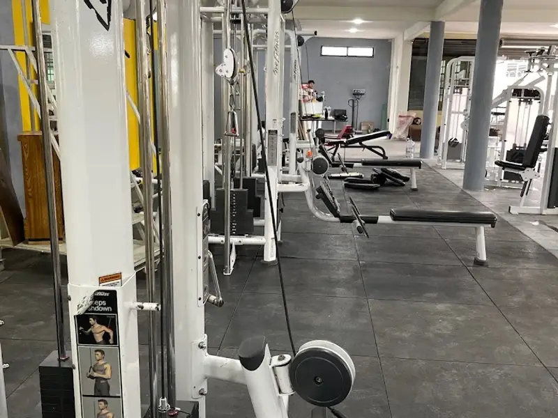 GYM Fuerza Fit 2
