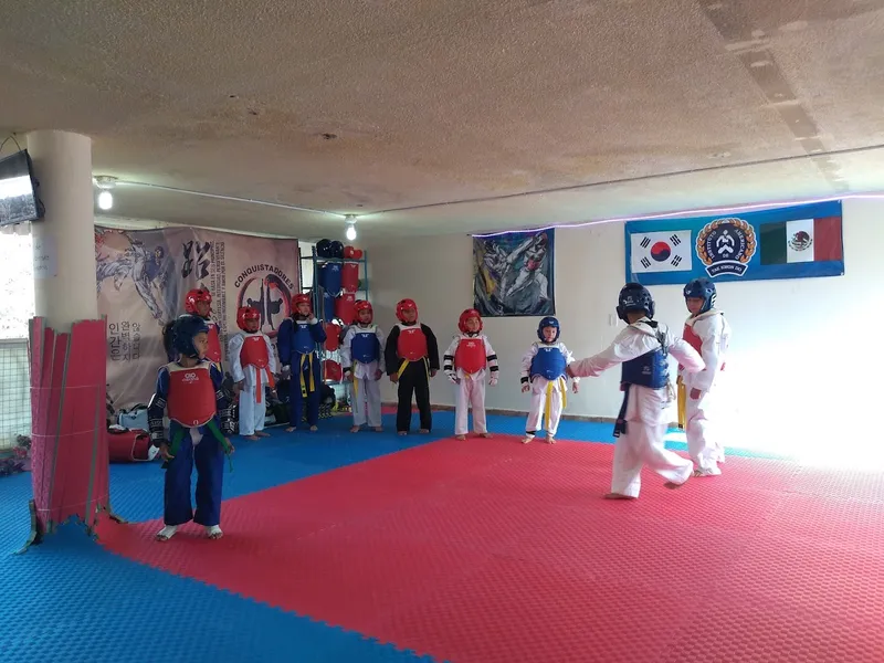 Conquistadores Taekwondo