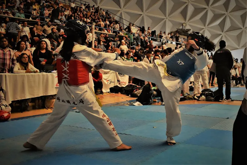 Dinámica Marcial Tae Kwon Do Tlalmanalco