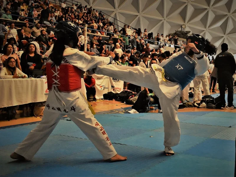 Dinámica Marcial Tae Kwon Do Tlalmanalco