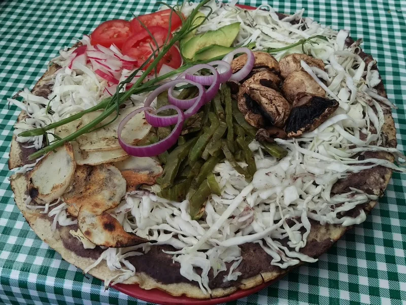 Oaxaquita
