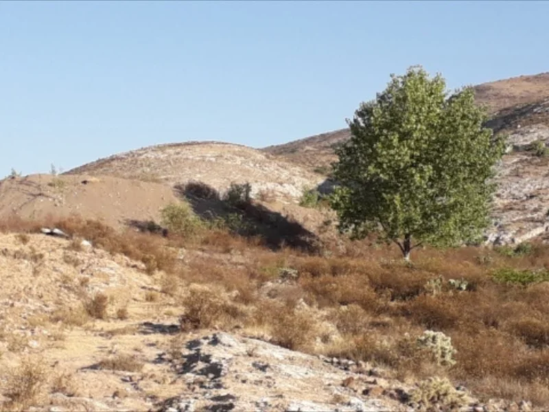 Jagüey matorral cuate estado de México hueypoxtla