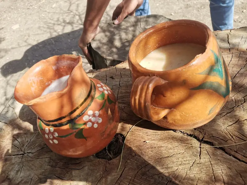 Pulquería "La Fortaleza"