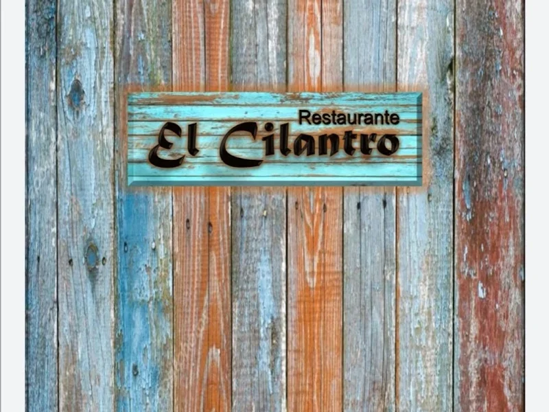 El cilantro