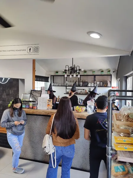 ELECTRIC COFFEE ROASTERS