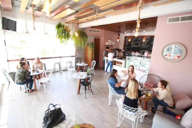 NATA CAFETERÍA Palmeras