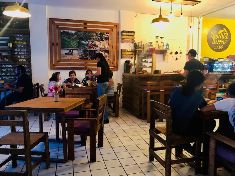Bendita Tierra Café