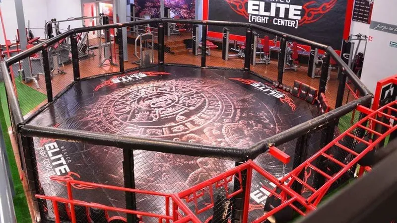Elite fight center