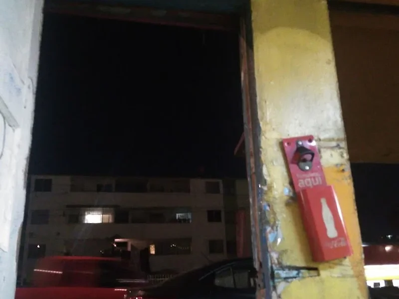 Hamburguesas y Hotdogs