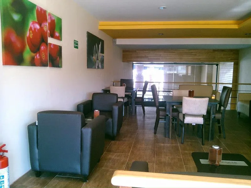 Café Colibrí Plaza del Árbol