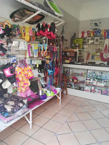Sporting Dogs Satelite