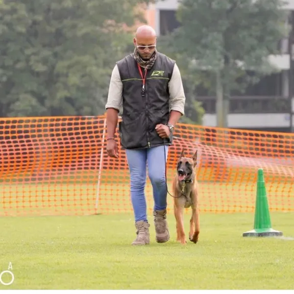 Educandogs México - Escuela de entrenamiento canino